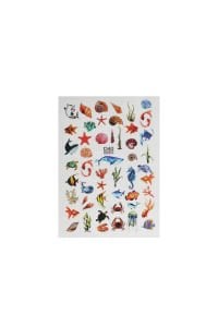 Su Bazlı Tırnak Stickeri